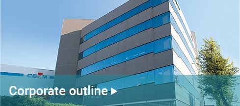 Corporate outline